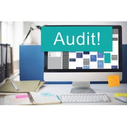 IT Audit