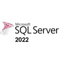 SQL Server 2022 Standard Edition (2 Core License)