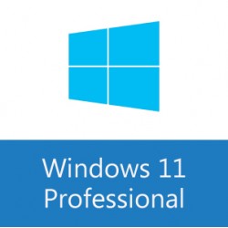 Windows 11 Professional