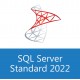 SQL Server 2022 Standard